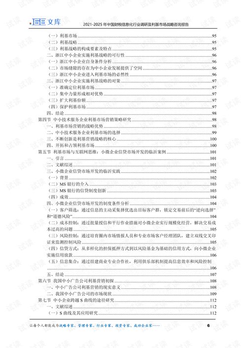 2021-2025年中國財稅信息化行業(yè)調(diào)研及利基市場戰(zhàn)略咨詢報告